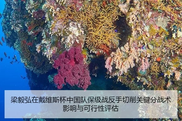 liang-yi-hong-zai-dai-wei-si-bei-zhong-guo-dui-bao-ji-zhan-fan-shou-qie-xiao-guan-jian-fen-zhan-shu-ying-xiang-yu-ke-2-738.jpg